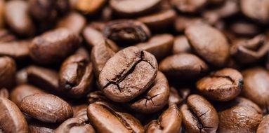 maco view of aromatic natural coffee beans