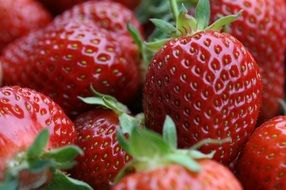 macro picture of red strawberries fruits