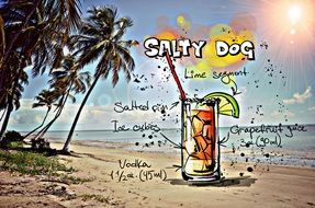 recipe of the cocktail Salty Dog, its summer colors