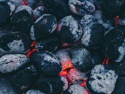 cookout barbecue grill