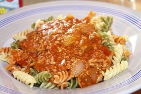 bolognese, tricolor