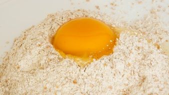 egg in whole wheat flour