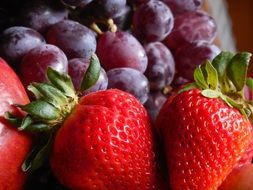 tasty bowl fruit