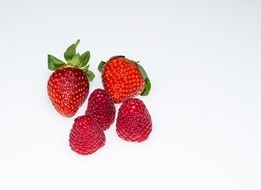 fresh red sweet strawberry fruit