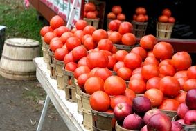 farmer market, tomatoes, apples,sell