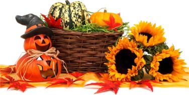 autumn food thanksgiving fertility drawing