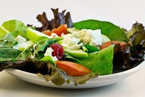 salad, fresh, food ,diet, health,healty,meal,benefit