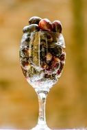 ripe black grapes in wine glass