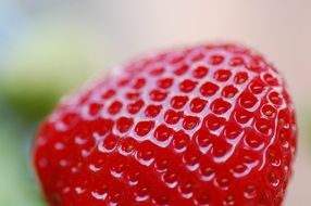 red fresh strawberry