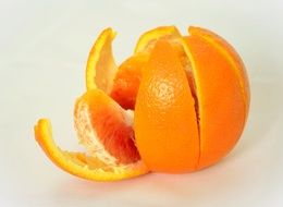 orange citrus fruit