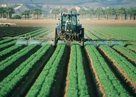 tractor on a field with green plants