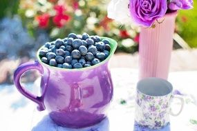 blueberries natural vitamin berries