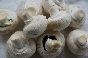 clean white mushrooms