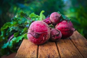 beetroot from a bed