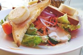 salad eat healthy meal starter