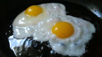 fried eggs breakfast