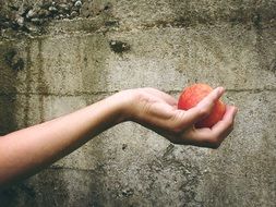 Photo of the Hand is holding a peach
