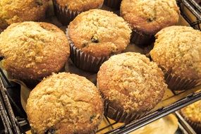 blueberry muffins on a tray