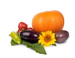 isolated autumn vegetables