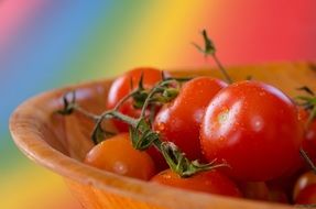 closeup picture of the tasty tomatoes vegetables