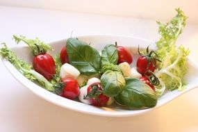 mozzarella tomatoes salaz basil