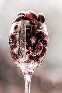 grapes in the glass of wine