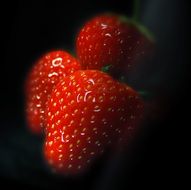 strawberries on a black background