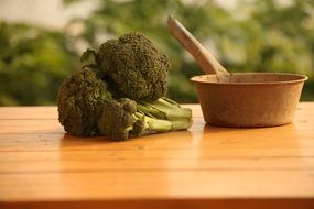 head of fresh broccoli flower