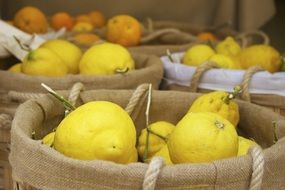 yellow lemons market fruit