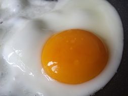 fried egg in a pan