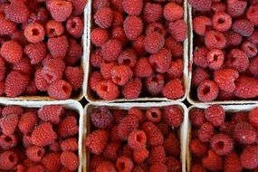 raspberries berries healthy in boxes tasty
