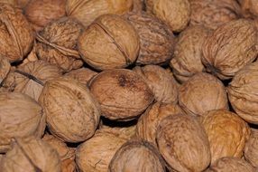Lots of brown walnuts