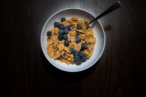 dry breakfast with blueberries in a bowl