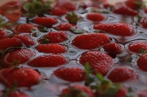 a bunch of red strawberries is floating in the water