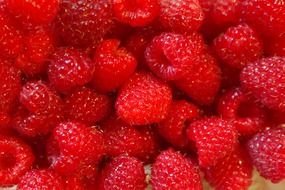 juicy raspberries closeup