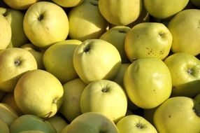 apple fruit food yellow