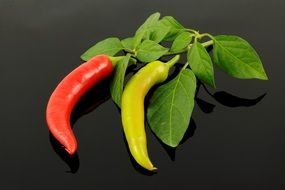 paprika pepperonie food green red