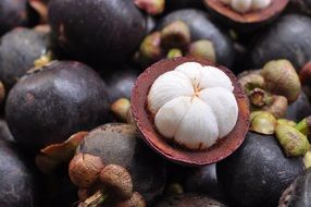 fresh purple mangosteen