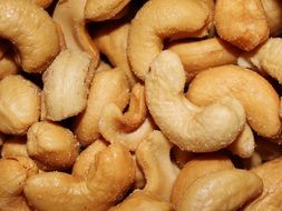 cashew kernels nuts