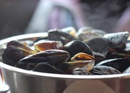 mussels in a bowl