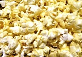 Closeup photo of pop corn
