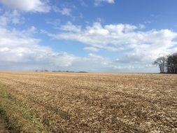 arable field in the village