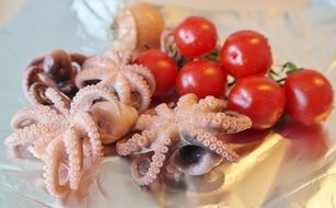 fresh baby octopus