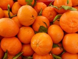 A lot of tangerines