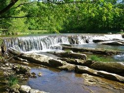 sream forest river