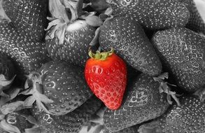 wallpaper with sweet strawberries