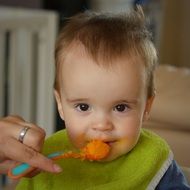 portrait of baby eating veggie meal from spoon