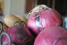Close up photo of purple onions