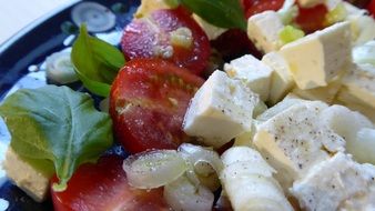 salad with tomatoes, onion and feta cheese