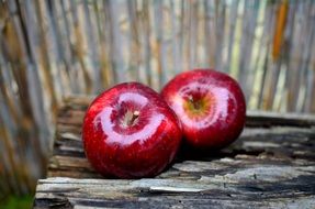 glossy red apples